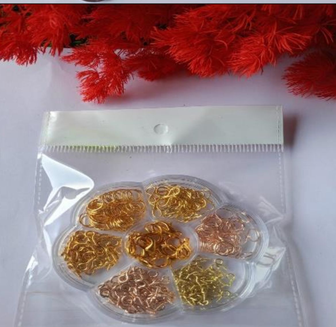 WhatsApp Image 2024-10-15 at 5.23.33 PM