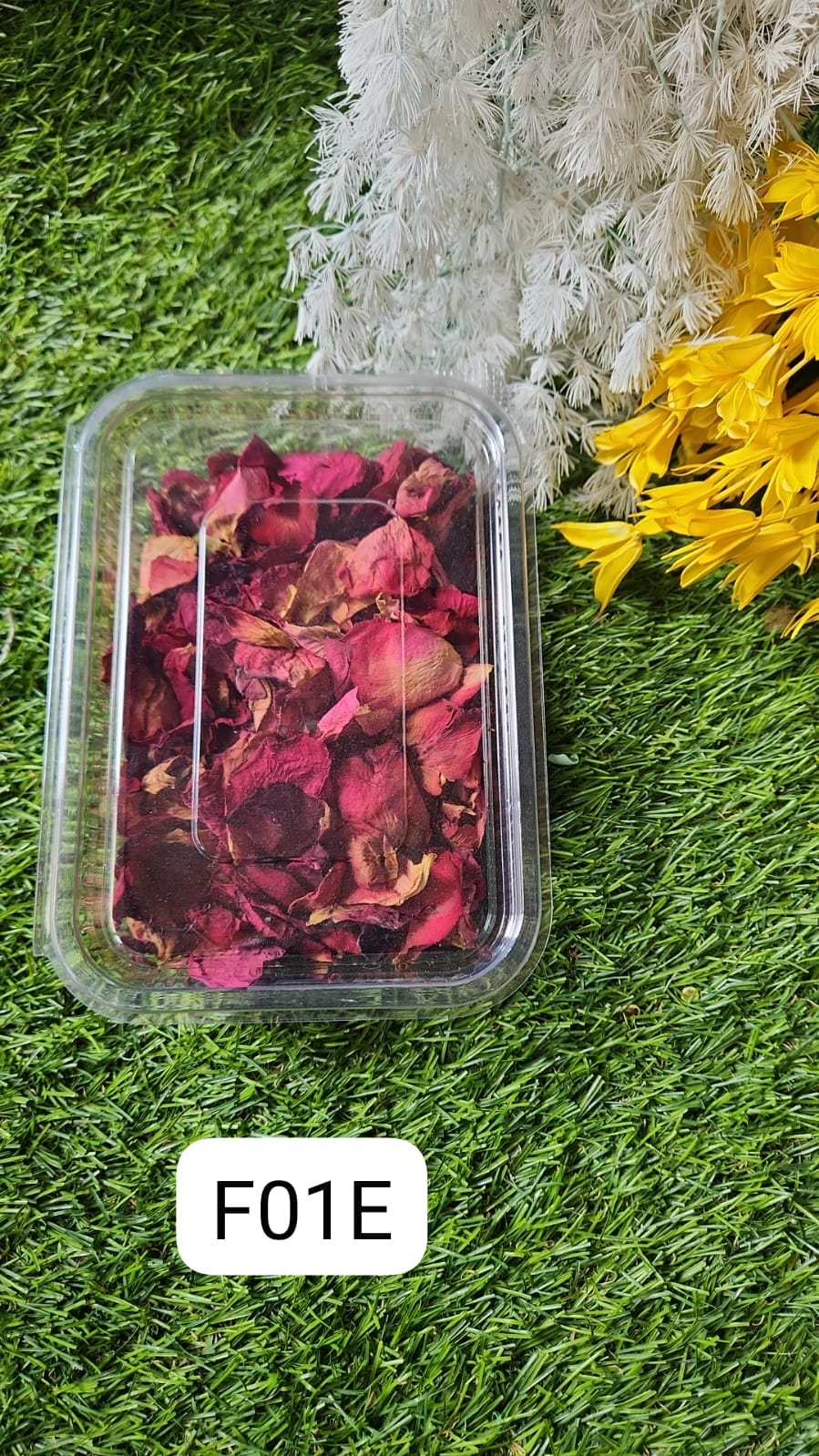 WhatsApp Image 2024-10-19 at 3.08.39 PM (1)