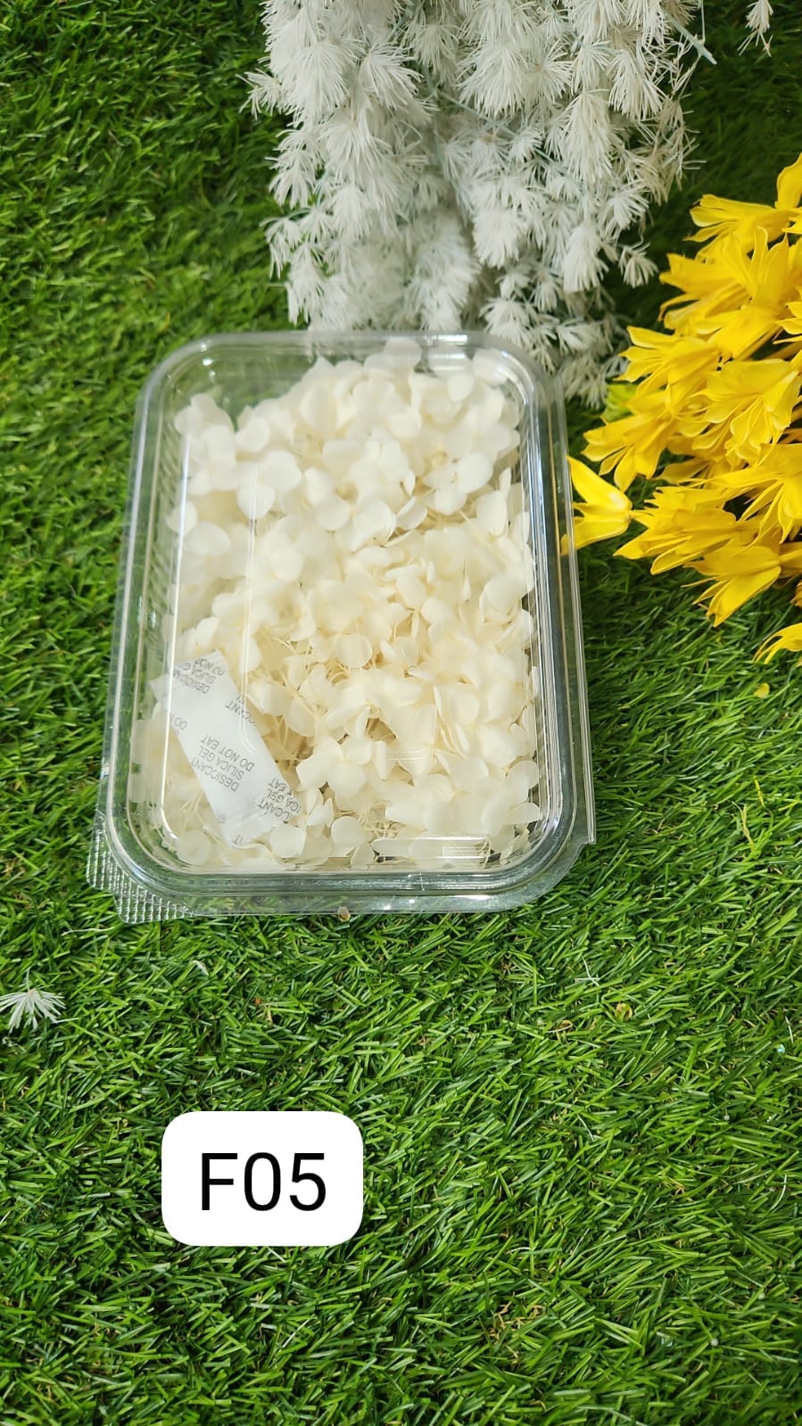 WhatsApp Image 2024-10-19 at 6.14.54 PM