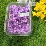 HYDRA FLOWERS PURPLE SNE Min. Qty. - 12 PCS.