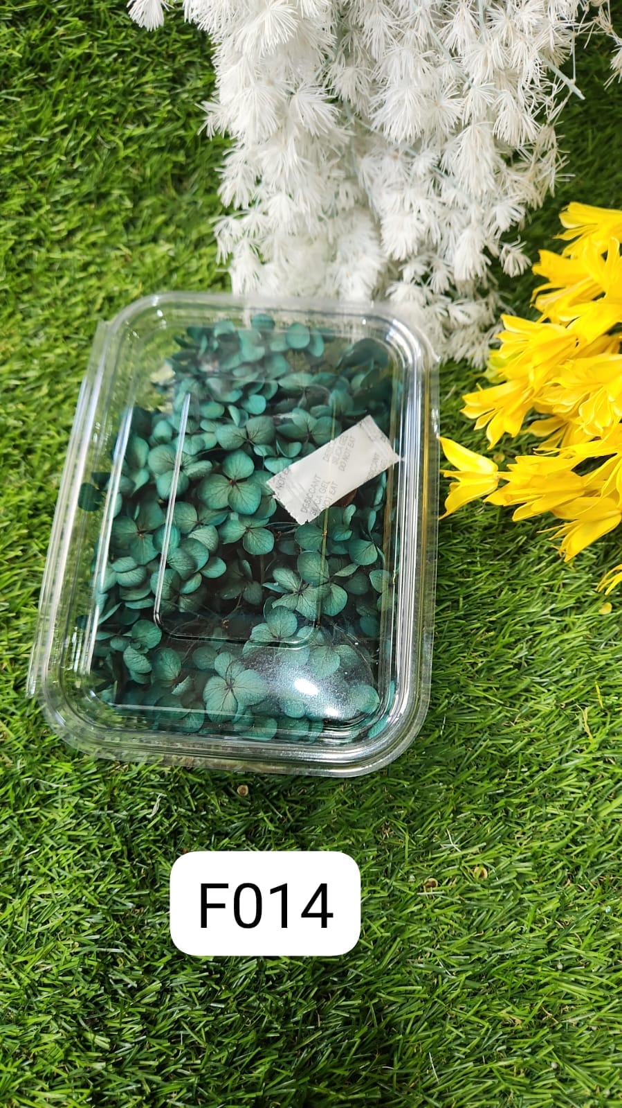 WhatsApp Image 2024-10-19 at 6.14.59 PM