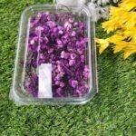 ZIPSSY FLOWERS PURPLE JO Min. Qty. - 12 PCS.