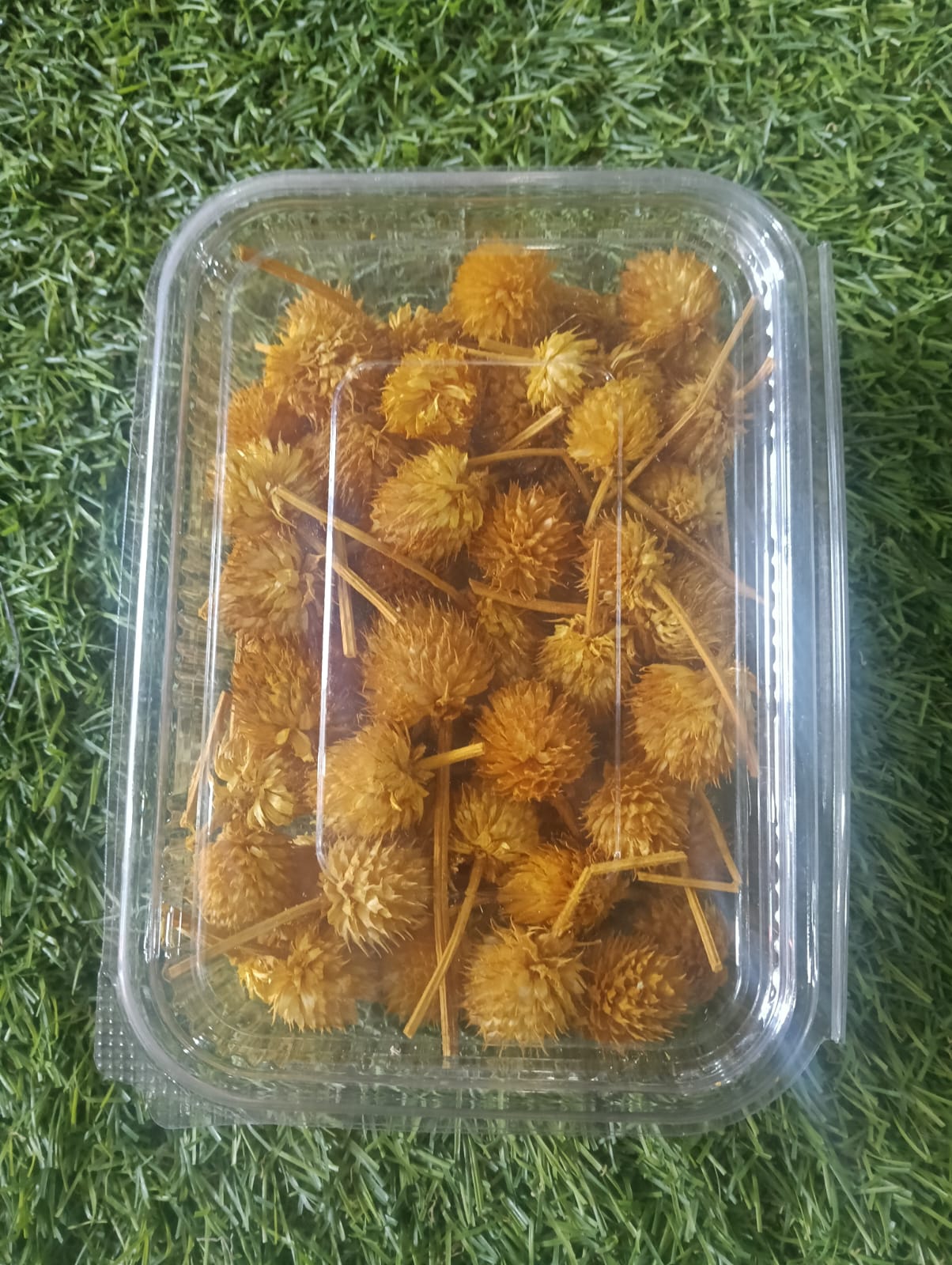 WhatsApp Image 2024-11-18 at 12.13.37 PM