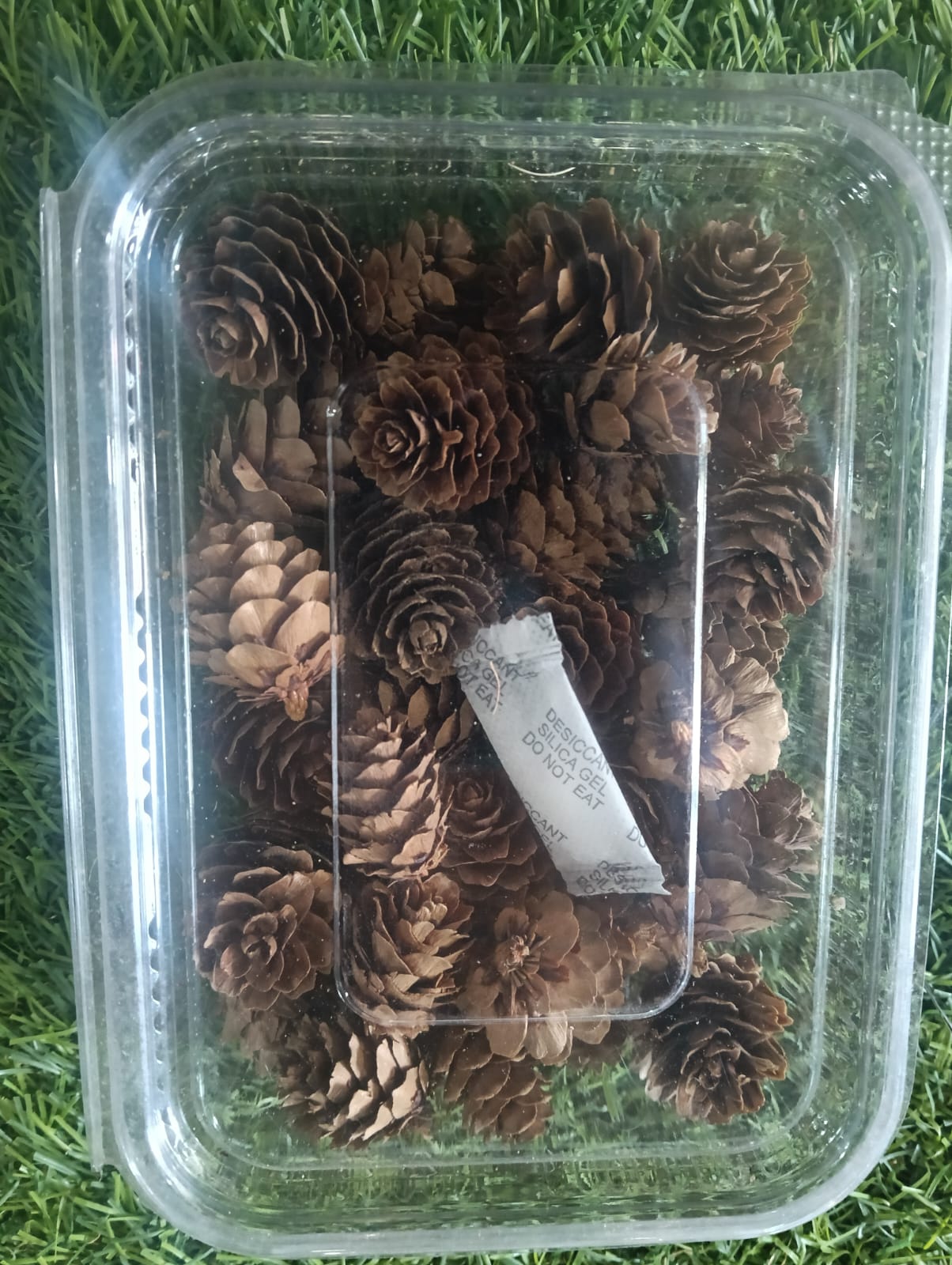 WhatsApp Image 2024-11-18 at 12.13.41 PM