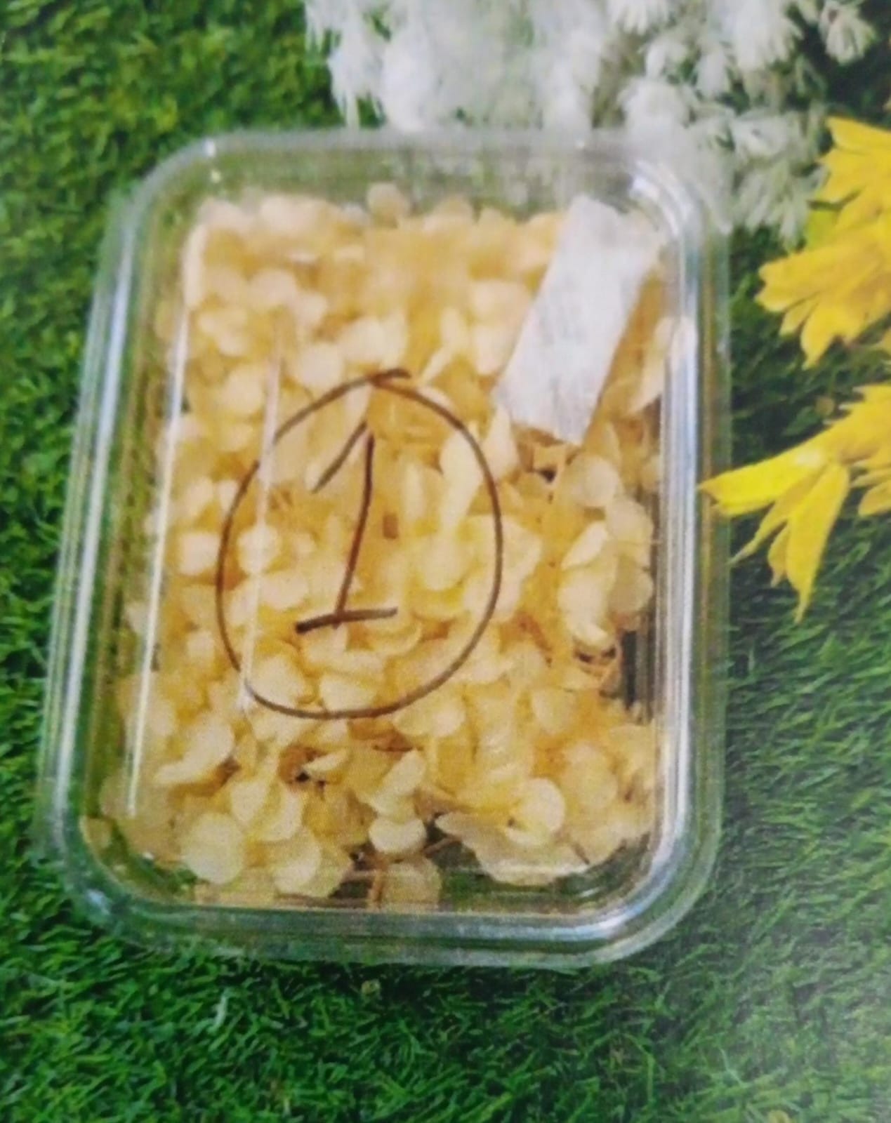 WhatsApp Image 2024-11-21 at 4.13.53 PM