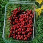 Natural flower cherry flower red  QTY-min 12 pcs