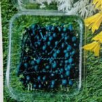 Natural flower cherry bule QTY-min 12 pcs