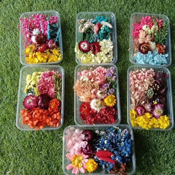 Natural flower dry mix box QTY-min 12 pcs