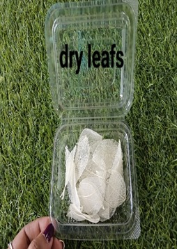 Dry Leaf  WHITE colour 25 Pcs 1box