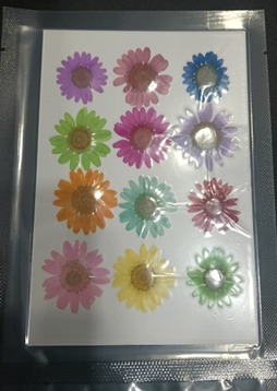 daisy pressed flower