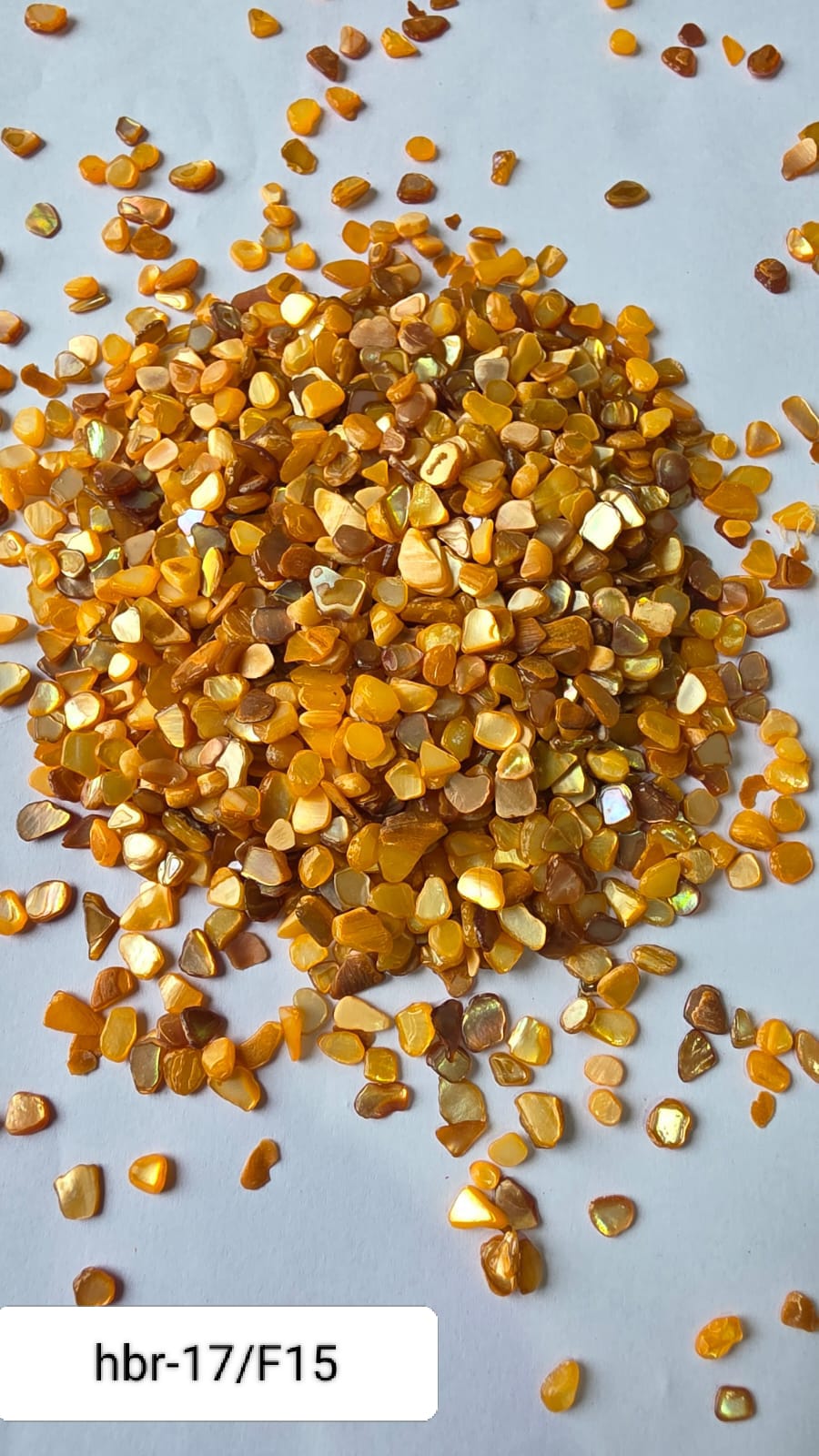 WhatsApp Image 2025-11-05 at 12.11.41 PM (2)