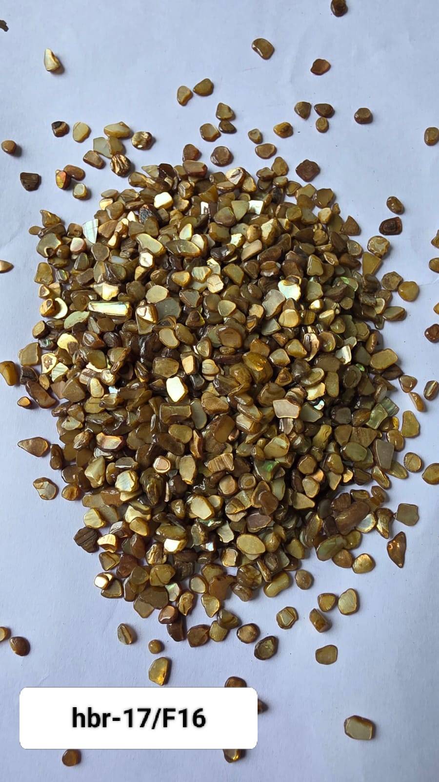 WhatsApp Image 2025-11-05 at 12.11.41 PM (3)