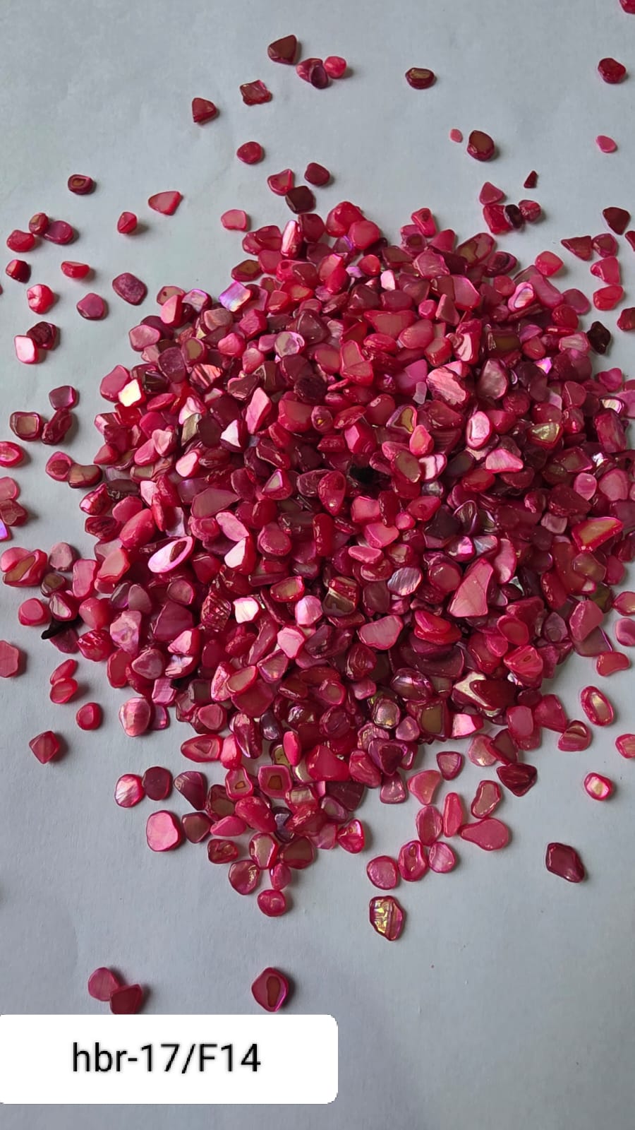 WhatsApp Image 2025-11-05 at 12.11.41 PM