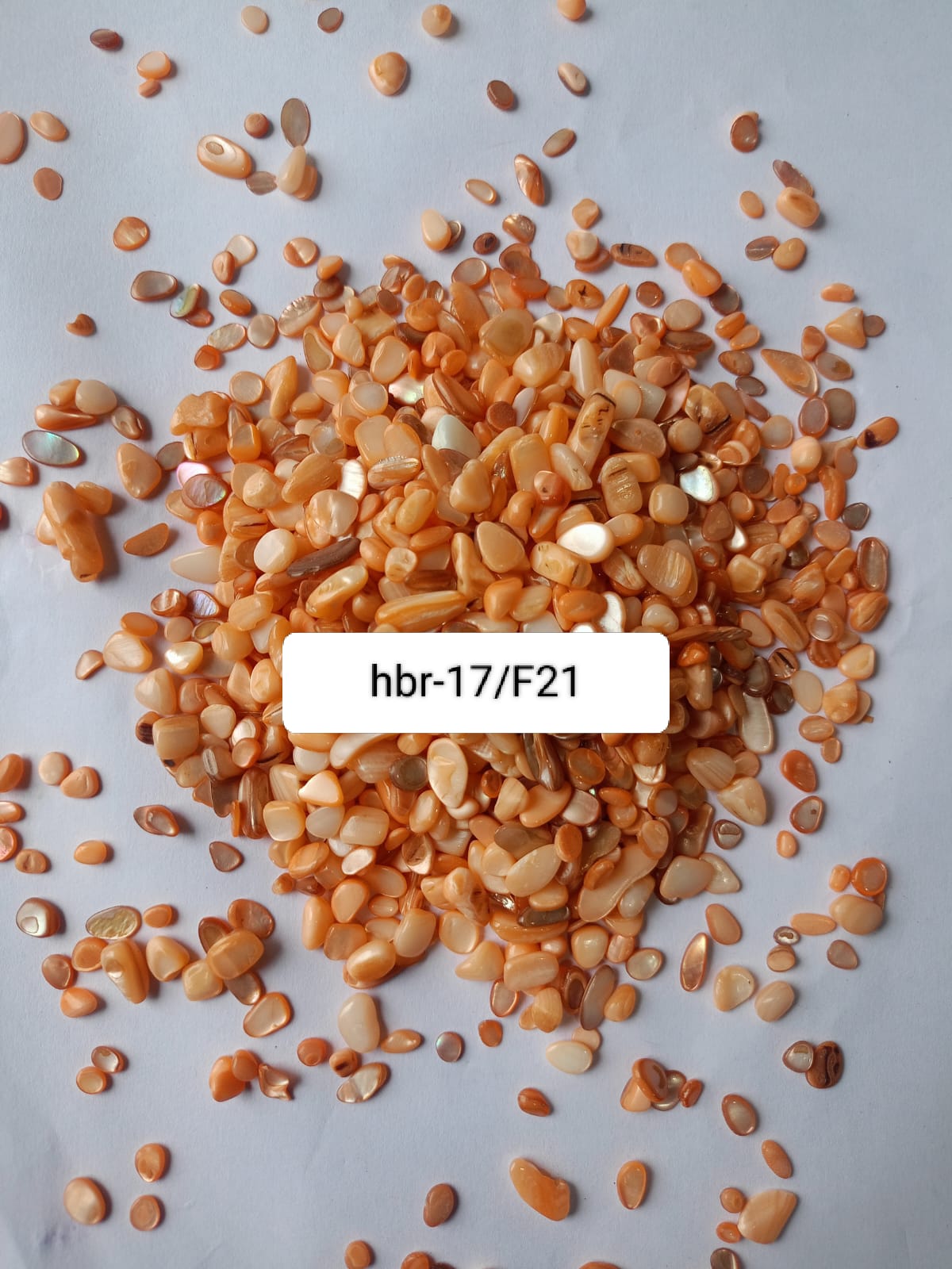 WhatsApp Image 2025-11-05 at 12.11.42 PM (2)