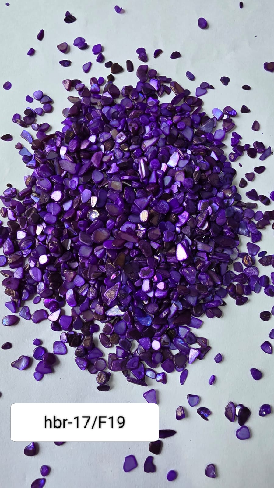 WhatsApp Image 2025-11-05 at 12.11.42 PM