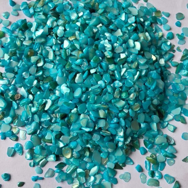 HBR17-F/23 Nucleous stone 450 gm