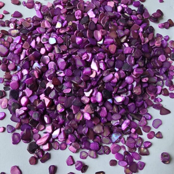 HBR17-F/24 Nucleous stone 450 gm