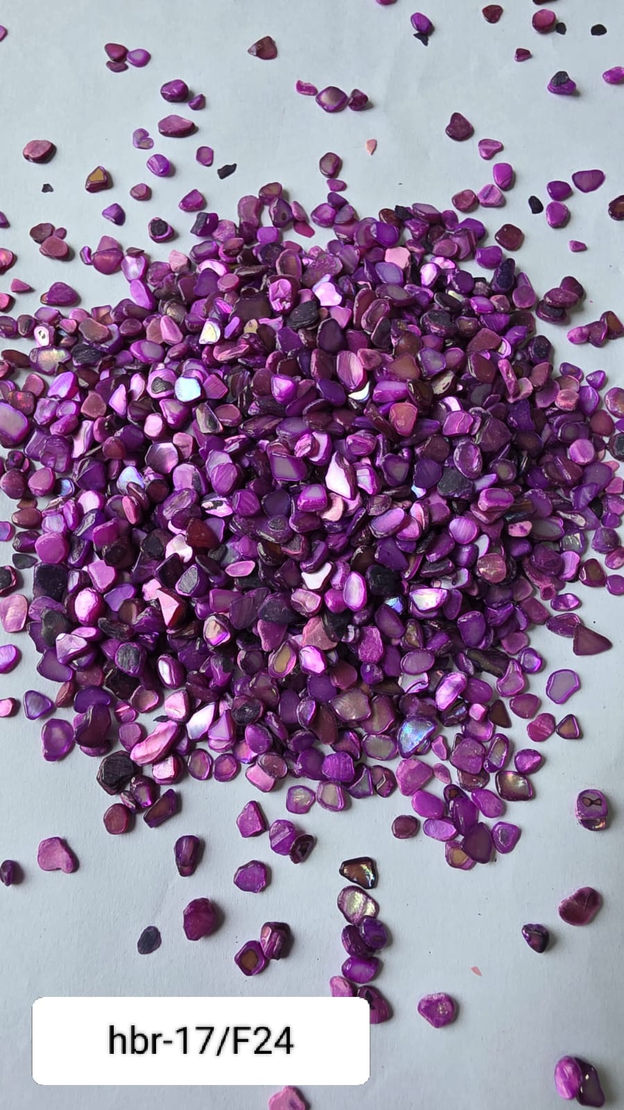 WhatsApp Image 2025-11-05 at 12.11.43 PM (3)