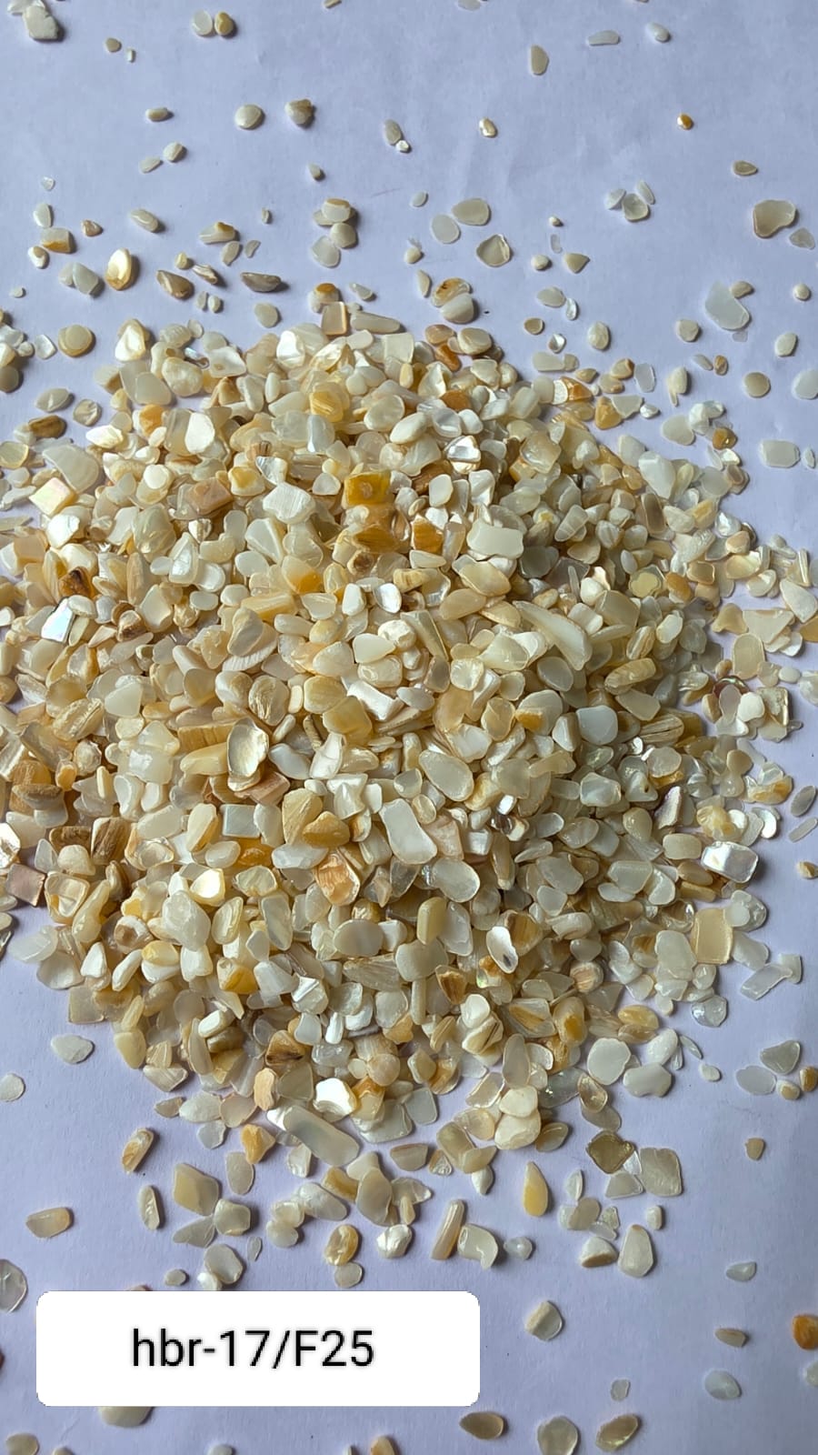 WhatsApp Image 2025-11-05 at 12.11.43 PM (4)