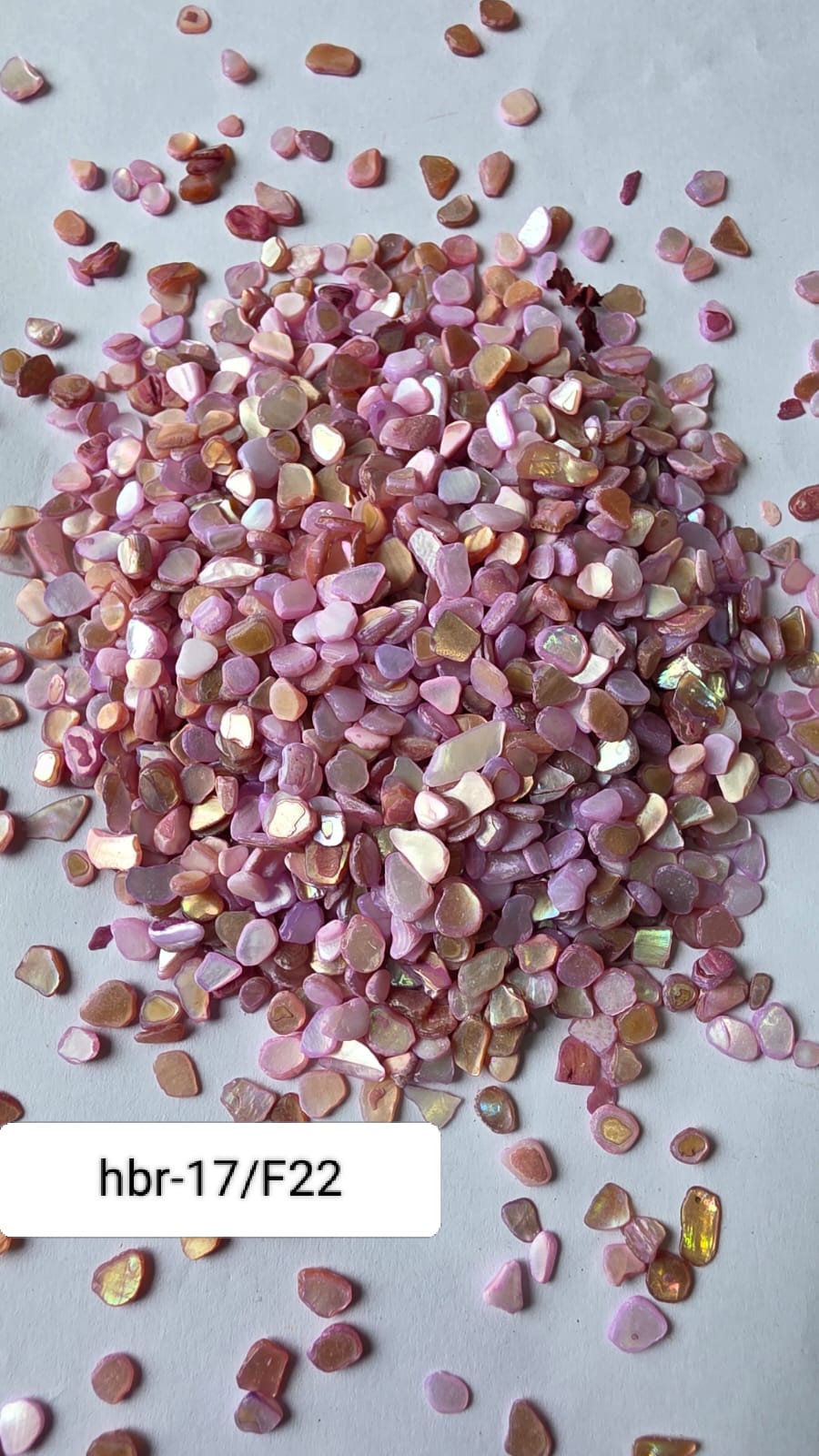 WhatsApp Image 2025-11-05 at 12.11.43 PM