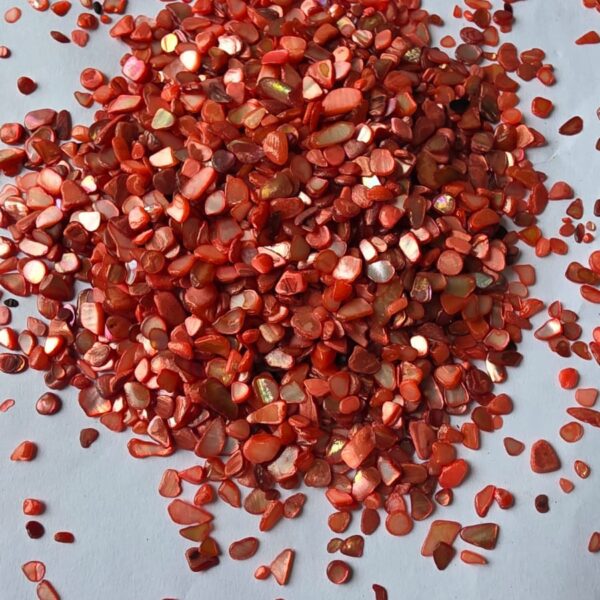 HBR17-F/27 Nucleous stone 450 gm