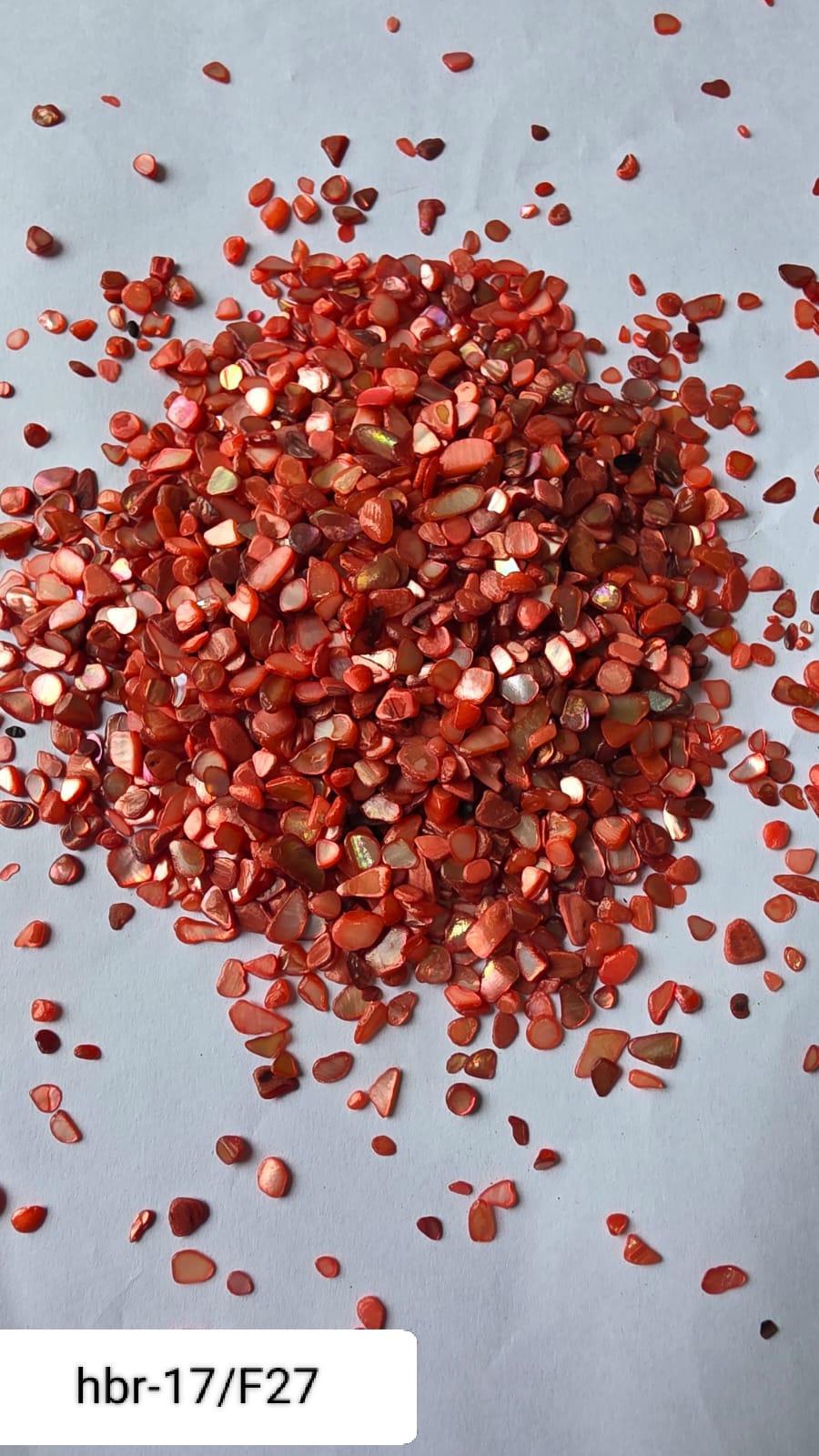 WhatsApp Image 2025-11-05 at 12.11.44 PM (1)