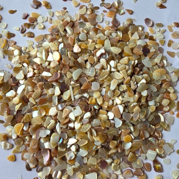 HBR17-F/26 Nucleous stone 450 gm