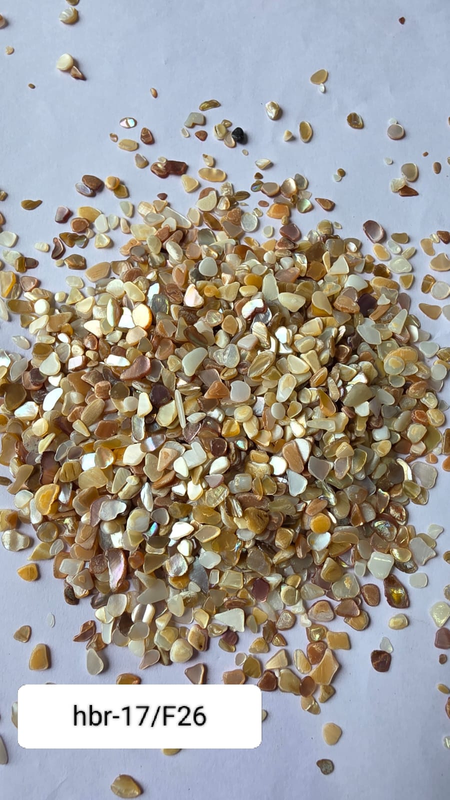 WhatsApp Image 2025-11-05 at 12.11.44 PM