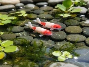 image (42) C0050 Miniature 2 pcs set Rs -14/- - Image 1