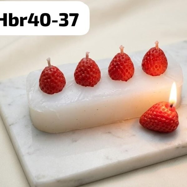 HBR40-37 4 cavity tiny mould Wight-40grm